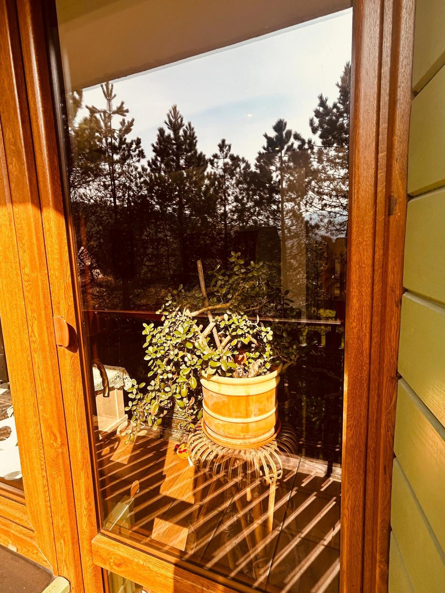 Willa Karolinka Stroza - Pet Friendly Myślenice Exterior foto