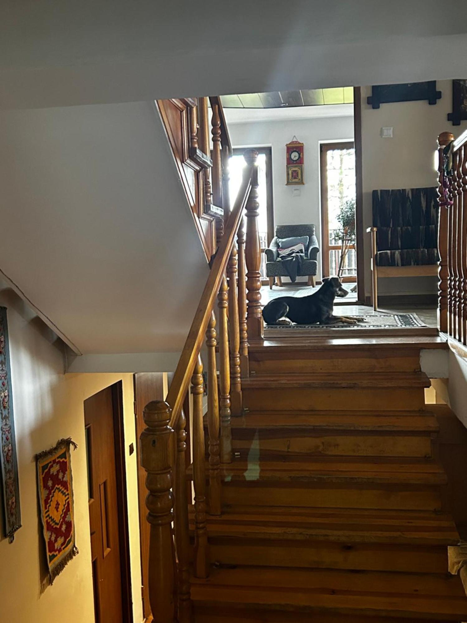 Willa Karolinka Stroza - Pet Friendly Myślenice Exterior foto