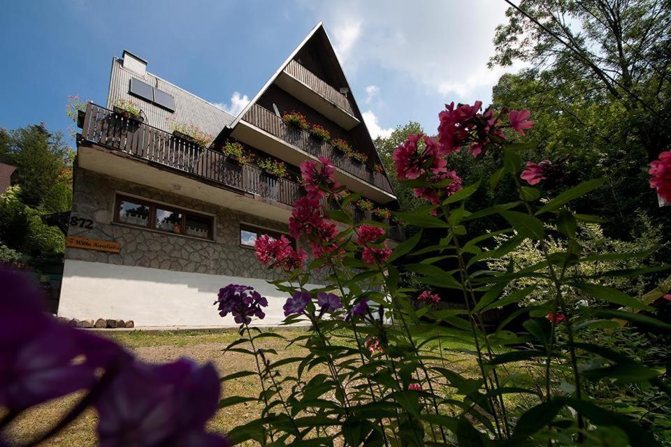 Willa Karolinka Stroza - Pet Friendly Myślenice Exterior foto